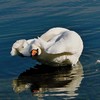 foto735