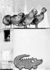ImmobilidinamicI_10